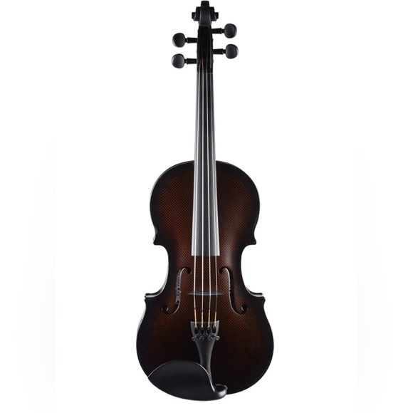 Glasser and Fishman Other - Glasser Carbon Composite Violin with Fishman Pickup’s